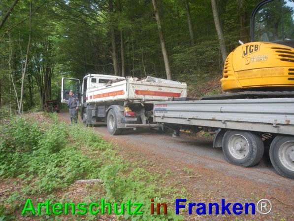 Bild zum Eintrag (74705-160)