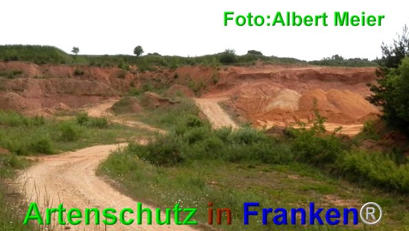 Copyright AiF - Albert Meier Bild zum Eintrag (74783-160)