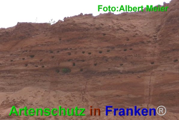 Copyright AiF - Albert Meier Bild zum Eintrag (74785-160)