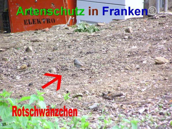 Copyright AiF Kunze Bild zum Eintrag (74813-160)