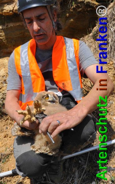 Copyright AiF Rolf Thiemann Bild zum Eintrag (74821-160)