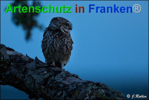 Copyright AiF Johannes Rother Bild zum Eintrag (75074-160)
