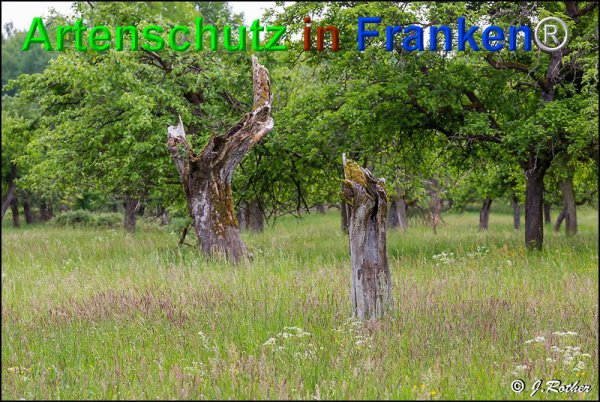 Copyright AiF Johannes Rother Bild zum Eintrag (75075-160)