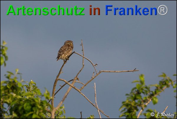 Copyright AiF Johannes Rother Bild zum Eintrag (75076-160)
