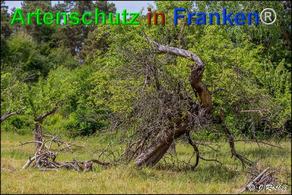 Copyright AiF Johannes Rother Bild zum Eintrag (75082-160)