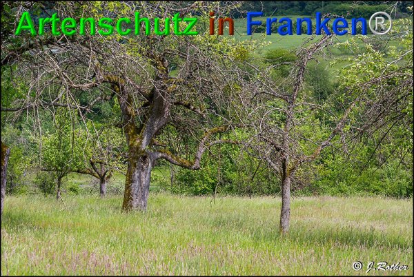 Copyright AiF Johannes Rother Bild zum Eintrag (75083-160)