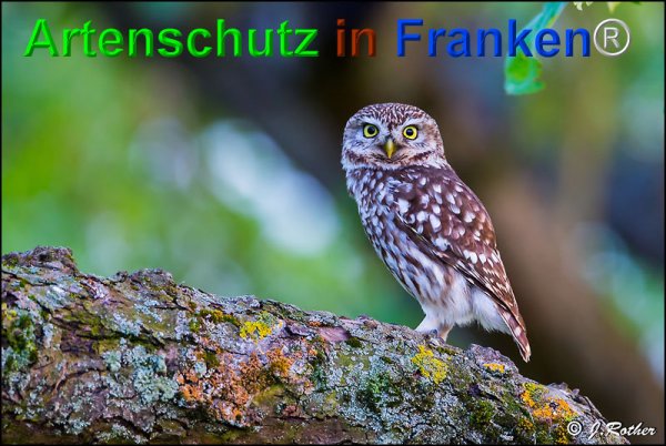 Copyright AiF Johannes Rother Bild zum Eintrag (75084-160)
