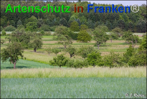 Copyright AiF Johannes Rother Bild zum Eintrag (75085-160)