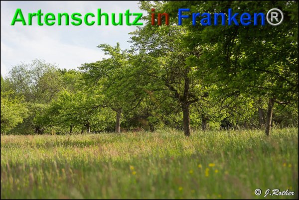 Copyright AiF Johannes Rother Bild zum Eintrag (75086-160)