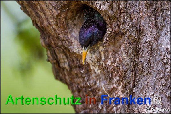 Copyright AiF Johannes Rother Bild zum Eintrag (75087-160)