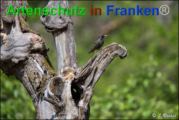 Copyright AiF Johannes Rother Bild zum Eintrag (75088-160)