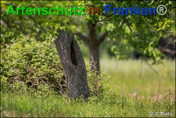 Copyright AiF Johannes Rother Bild zum Eintrag (75089-160)