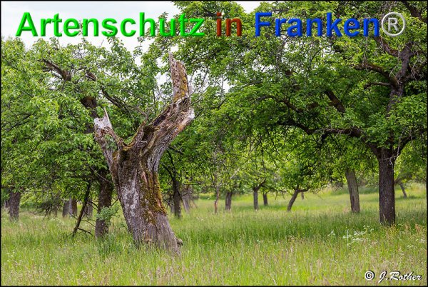 Copyright AiF Johannes Rother Bild zum Eintrag (75097-160)