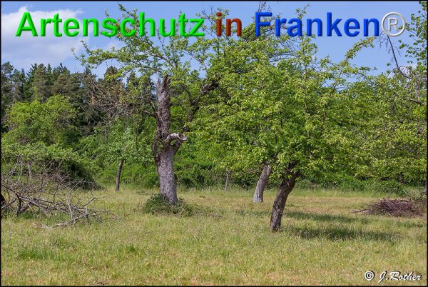 Bild zum Eintrag (75104-160)