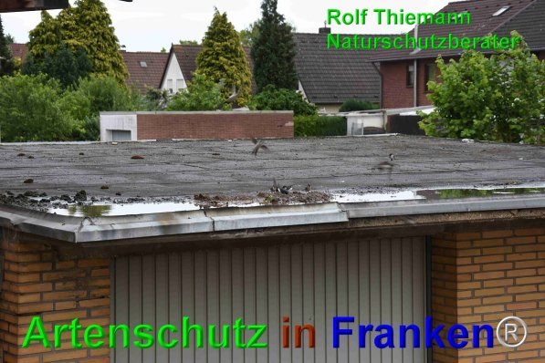 Copyright AiF Rolf Thiemann Bild zum Eintrag (75139-160)
