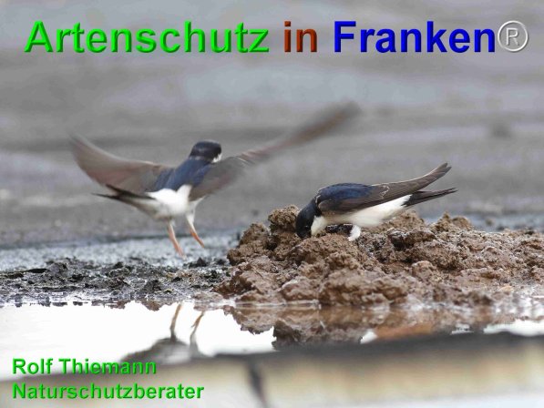 Copyright AiF Rolf Thiemann Bild zum Eintrag (75140-160)