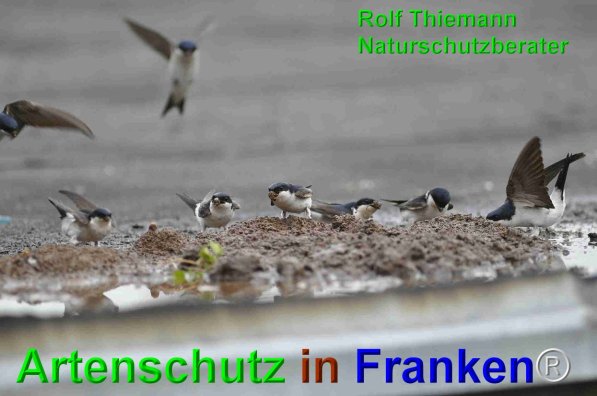 Copyright AiF Rolf Thiemann Bild zum Eintrag (75142-160)