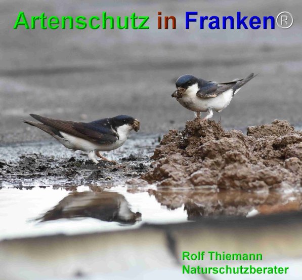 Copyright AiF Rolf Thiemann Bild zum Eintrag (75154-160)