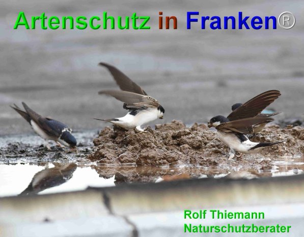 Copyright AiF Rolf Thiemann Bild zum Eintrag (75157-160)