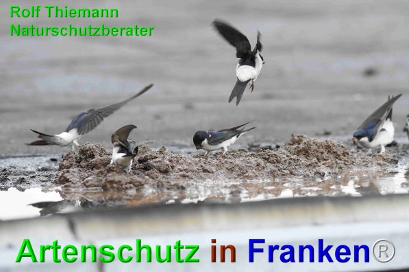 Copyright AiF Rolf Thiemann Bild zum Eintrag (75160-160)
