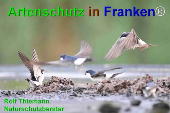 Copyright AiF Rolf Thiemann Bild zum Eintrag (75161-160)