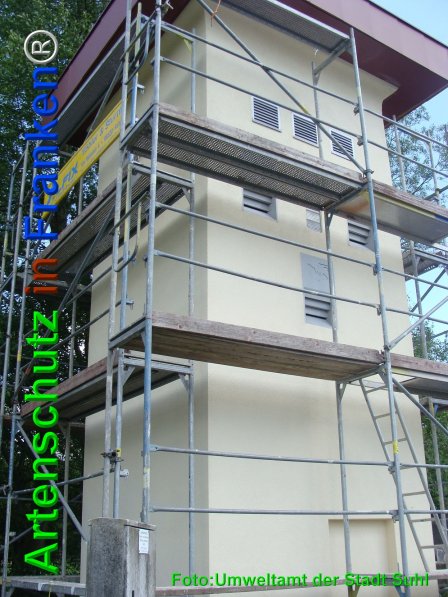Copyright AiF Umweltamt der Stadt Suhl Bild zum Eintrag (75168-160)