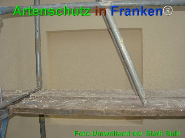 Bild zum Eintrag (75172-160)