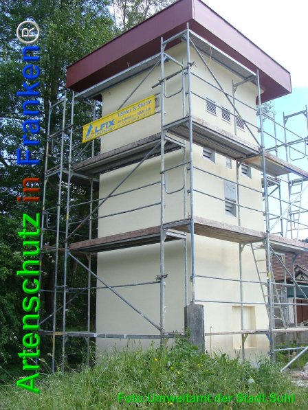 Copyright AiF Umweltamt der Stadt Suhl Bild zum Eintrag (75174-160)