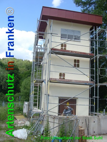 Copyright AiF Umweltamt der Stadt Suhl Bild zum Eintrag (75175-160)