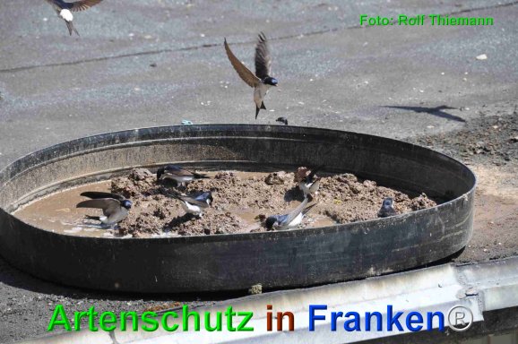 Copyright AiF Rolf Thiemann Bild zum Eintrag (75209-160)