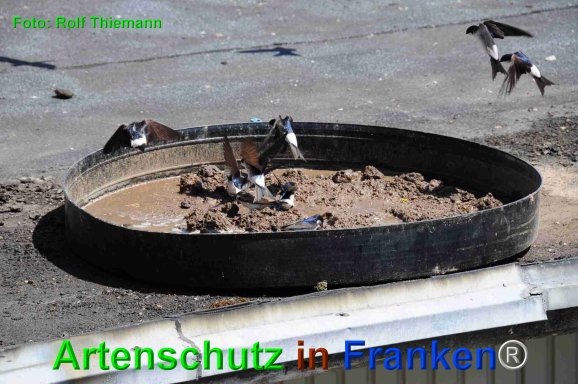 Copyright AiF Rolf Thiemann Bild zum Eintrag (75210-160)