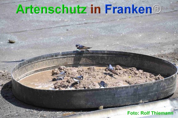 Copyright AiF Rolf Thiemann Bild zum Eintrag (75211-160)