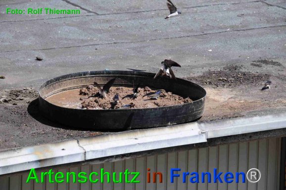 Copyright AiF Rolf Thiemann Bild zum Eintrag (75213-160)
