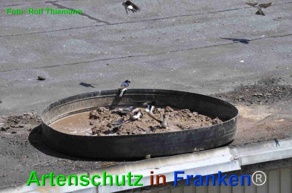 Copyright AiF Rolf Thiemann Bild zum Eintrag (75214-160)