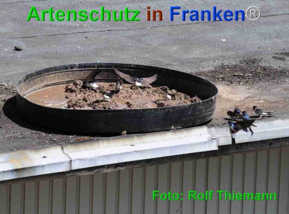 Copyright AiF Rolf Thiemann Bild zum Eintrag (75215-160)