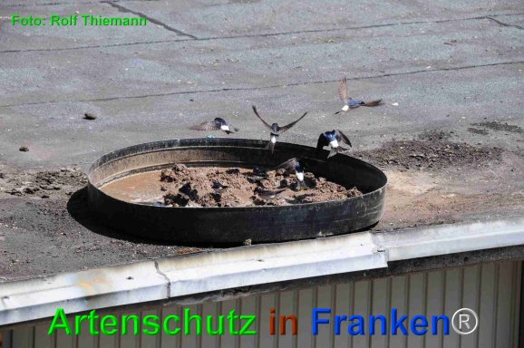 Copyright AiF Rolf Thiemann Bild zum Eintrag (75216-160)