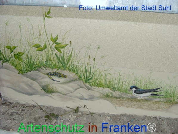Copyright AiF Umweltamt der Stadt Suhl Bild zum Eintrag (75398-160)