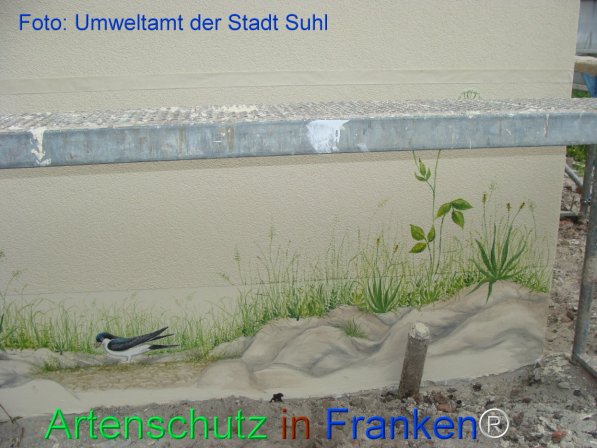 Copyright AiF Umweltamt der Stadt Suhl Bild zum Eintrag (75399-160)