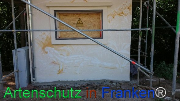 Bild zum Eintrag (75630-160)