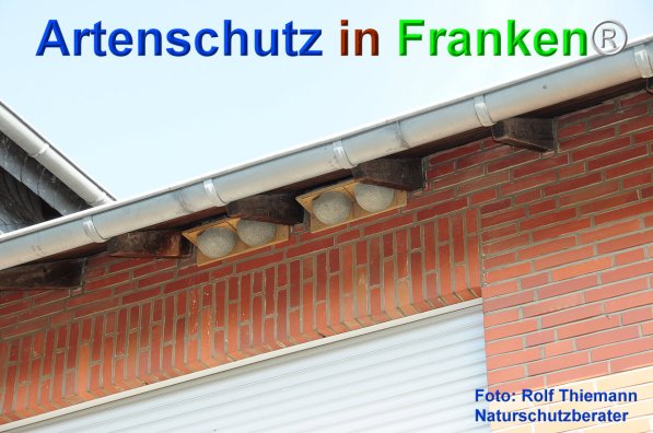 Copyright AiF Rolf Thiemann Bild zum Eintrag (75743-160)
