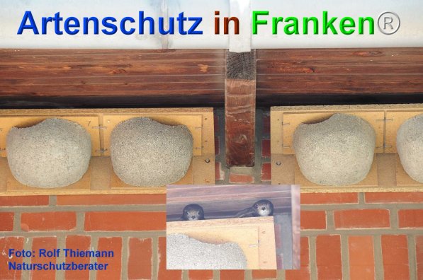 Copyright AiF Rolf Thiemann Bild zum Eintrag (75744-160)