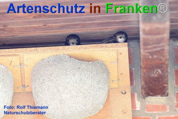 Copyright AiF Rolf Thiemann Bild zum Eintrag (75745-160)