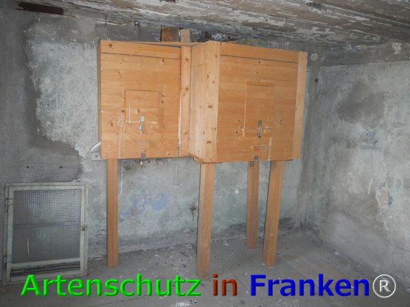© Artenschutz in Franken® Bild zum Eintrag (75945-160)