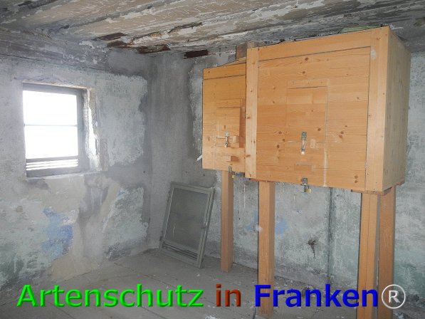 Bild zum Eintrag (75948-160)