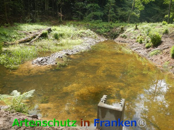 Bild zum Eintrag (76037-160)