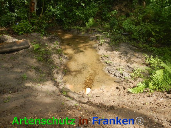 Bild zum Eintrag (76041-160)