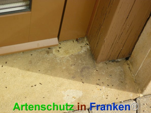 Bild zum Eintrag (76358-160)