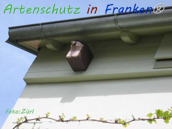 Copyright AiF Detlef Zürl Bild zum Eintrag (76494-160)