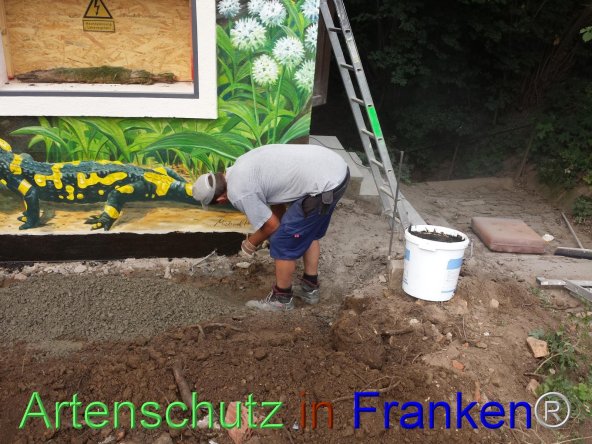 Bild zum Eintrag (76676-160)