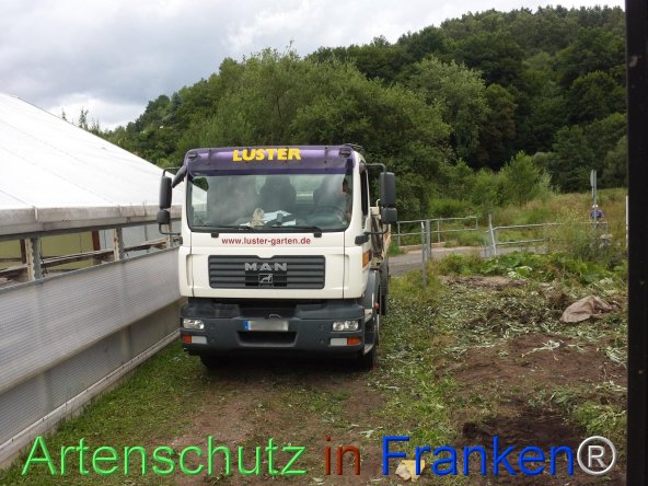 Bild zum Eintrag (76986-160)